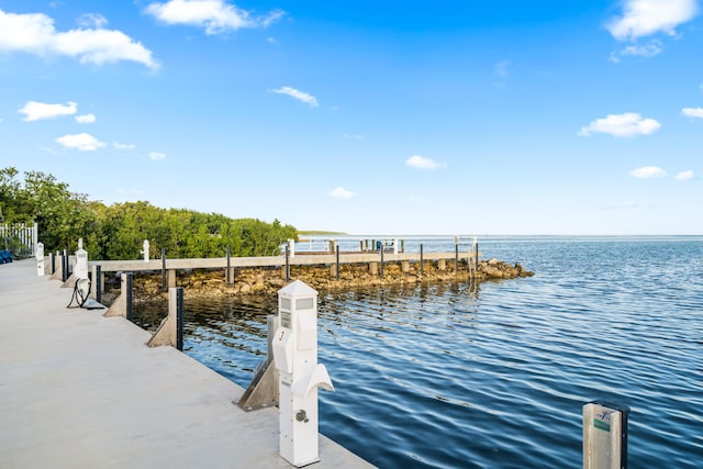 84745 Old Hwy Unit 1, Islamorada, FL 33036 - photo 60