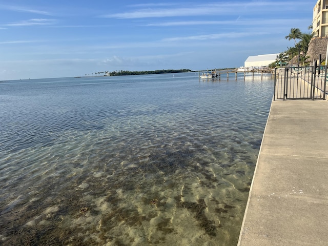 water view featuring a dock