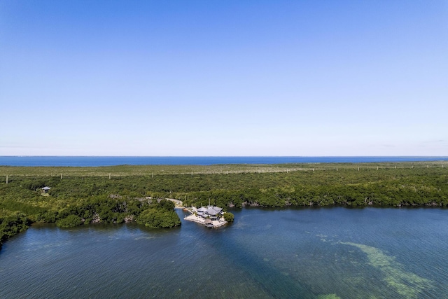 drone / aerial view of a heavily wooded area and a nearby body of water