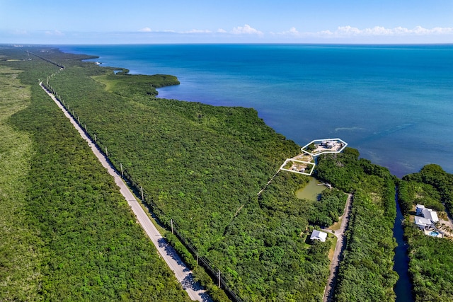 drone / aerial view of a large body of water