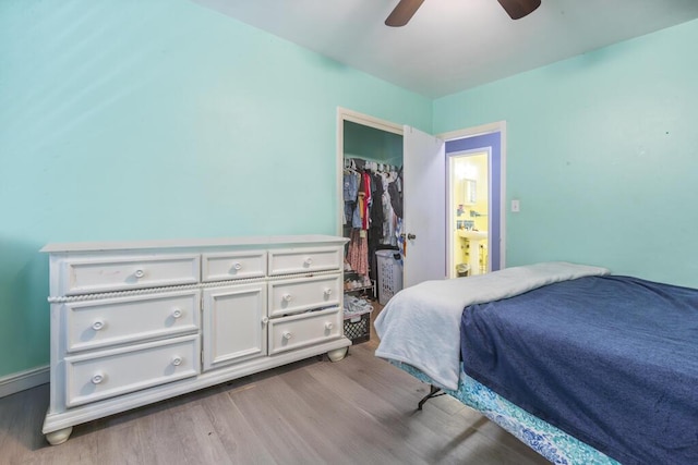 bedroom with a walk in closet, light hardwood / wood-style flooring, a closet, and ceiling fan