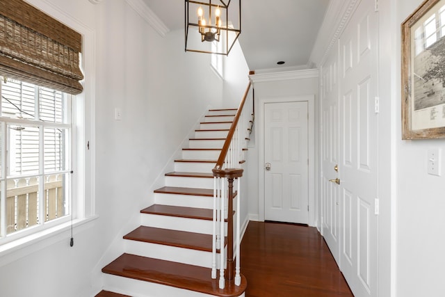 stairs featuring crown molding and wood-type flooring