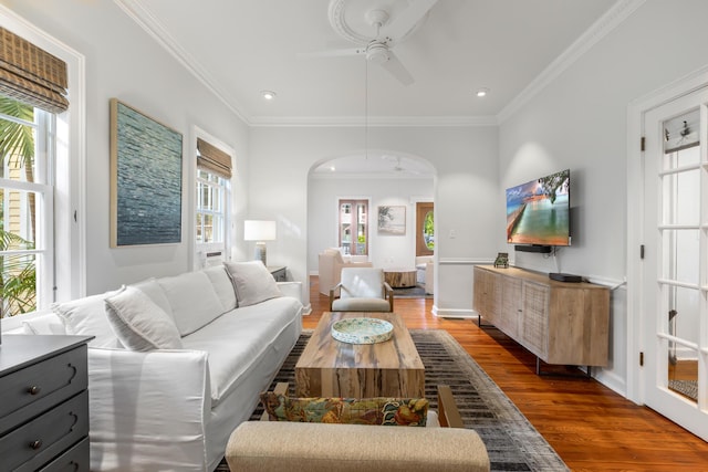 living room featuring ceiling fan, ornamental molding, wood-type flooring, and plenty of natural light