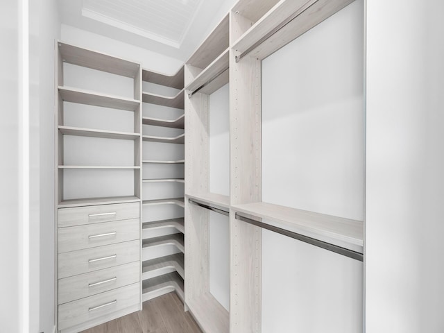 spacious closet featuring light hardwood / wood-style flooring