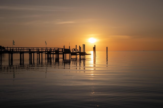 dock area featuring a water view