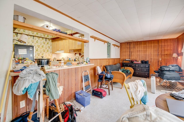 3746 Paula Ave, Key West, FL 33040 - living area with wood walls, carpet flooring, and ornamental molding