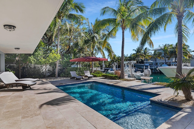 view of pool with a patio