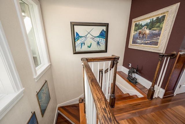 stairs featuring hardwood / wood-style floors