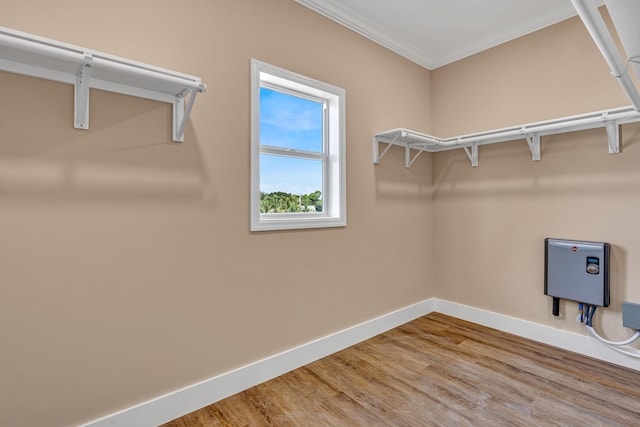 walk in closet featuring wood finished floors