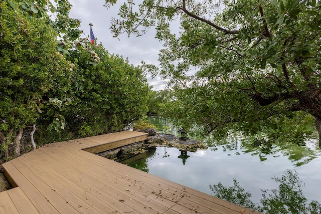 dock area with a water view