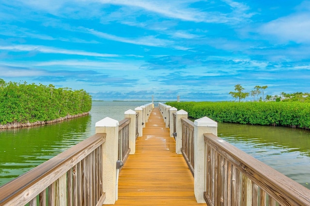 dock area with a water view