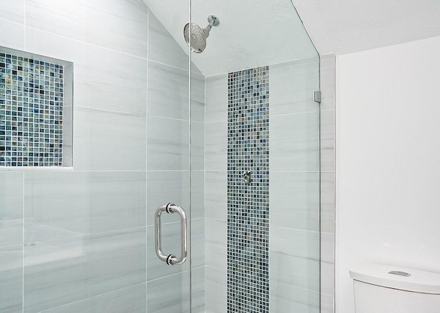 bathroom featuring vaulted ceiling, toilet, and walk in shower