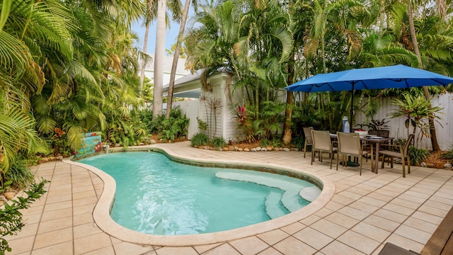 view of swimming pool featuring a patio