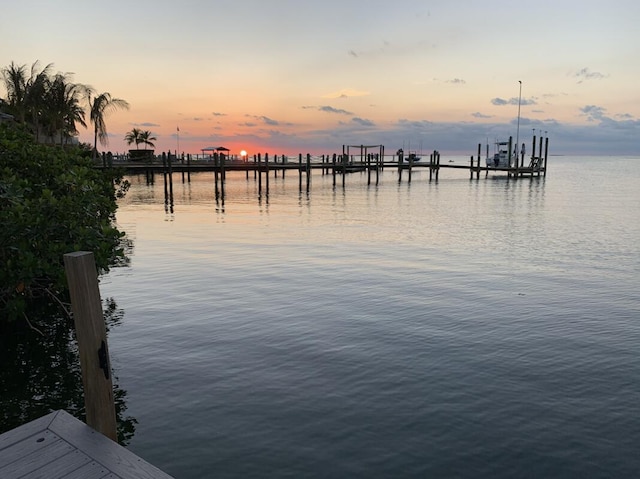 dock area featuring a water view