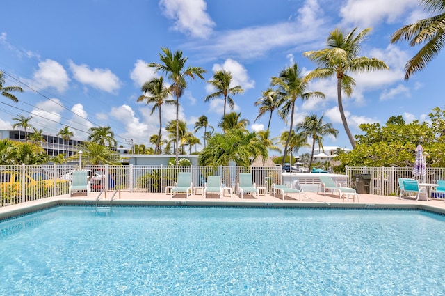 view of pool with a patio area