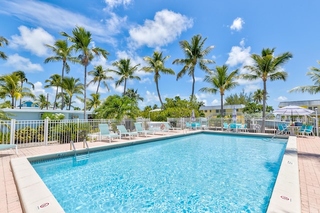 view of pool featuring a patio area