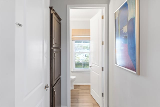 corridor featuring light hardwood / wood-style floors