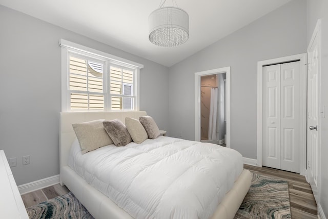 bedroom featuring vaulted ceiling, a closet, and wood-type flooring