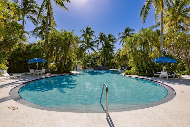 view of swimming pool with a patio