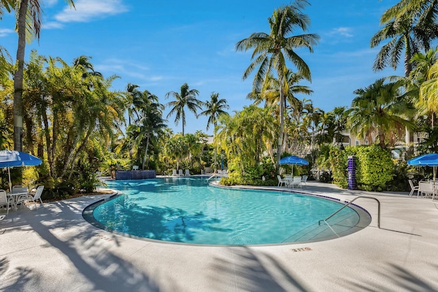 view of swimming pool with a patio