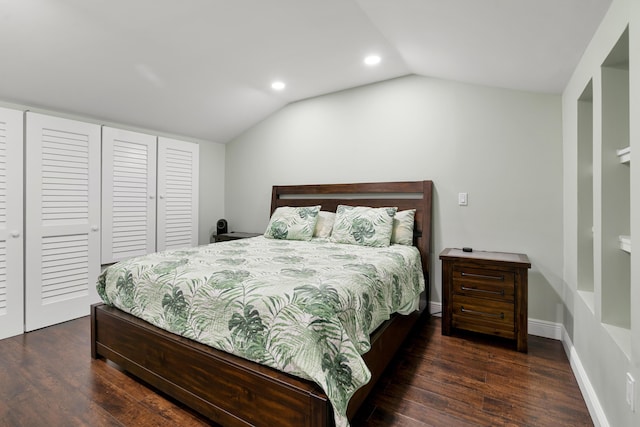 bedroom featuring vaulted ceiling, dark wood-type flooring, and a closet