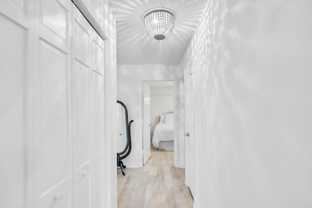 hallway with a textured ceiling and light wood-type flooring