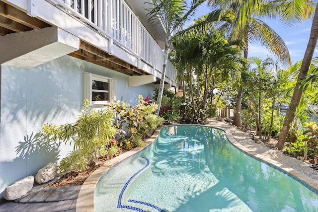 view of swimming pool