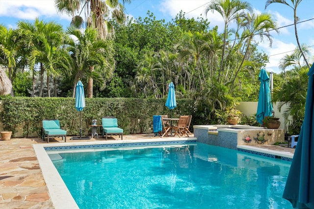 view of swimming pool featuring a jacuzzi and a patio area