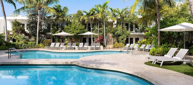 view of swimming pool with a patio area