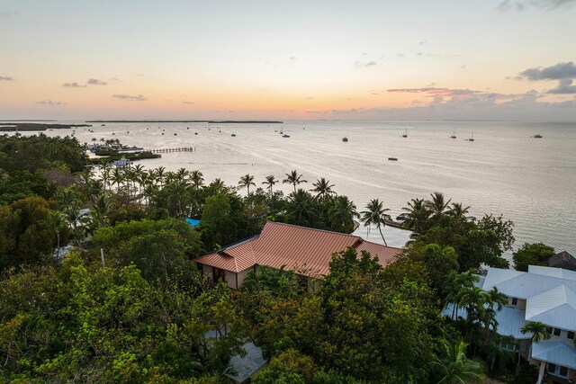 aerial view at dusk with a water view