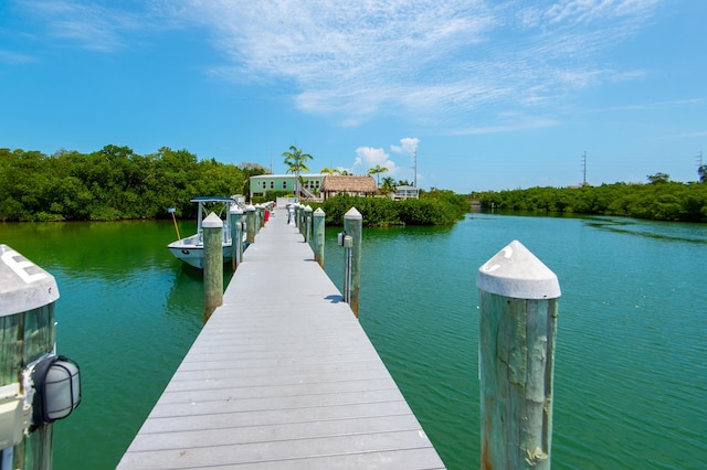 dock area with a water view