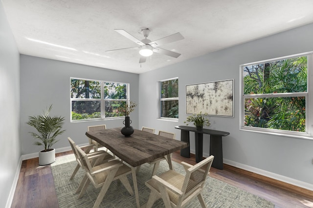 18901 SW 288th St, Homestead, FL 33001 - photo 4