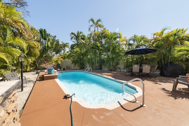 view of pool featuring a patio area, fence, and a fenced in pool