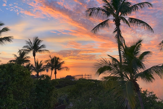 view of nature at dusk