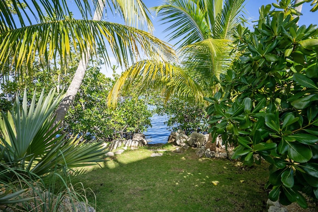 view of yard featuring a water view