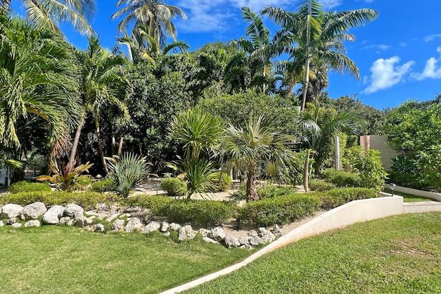 exterior space featuring a lawn