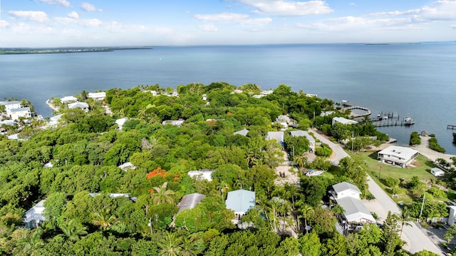 158 Tampa Dr, Tavernier, FL 33070 - photo 40