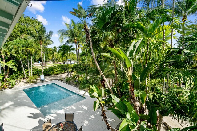 158 Tampa Dr, Tavernier, FL 33070 - photo 14