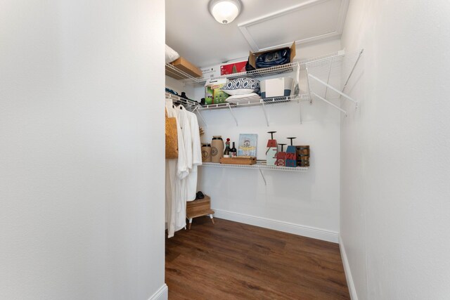 walk in closet featuring dark wood-type flooring