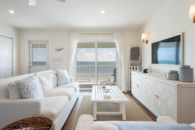 living room featuring hardwood / wood-style floors