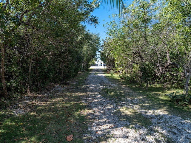 view of road