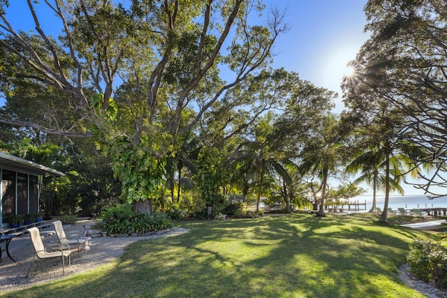 view of yard with a water view