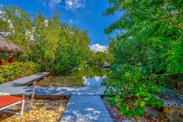 view of dock