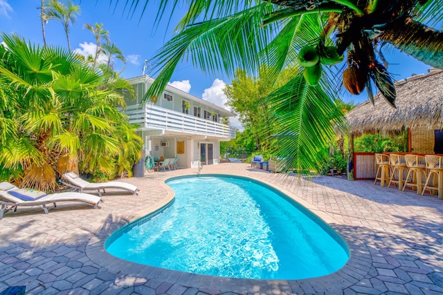 pool featuring a patio area and outdoor dry bar