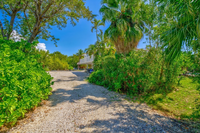 view of road with driveway