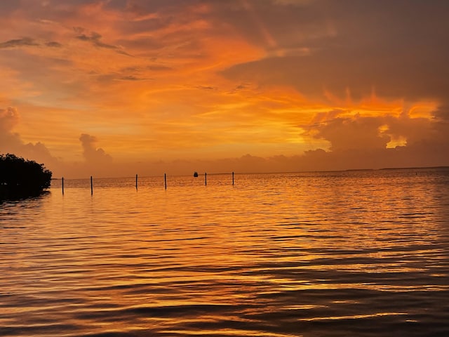 88500 Overseas Hwy Unit 501, Islamorada, FL 33070 - photo 30