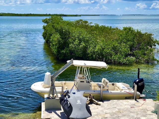 dock area with a water view