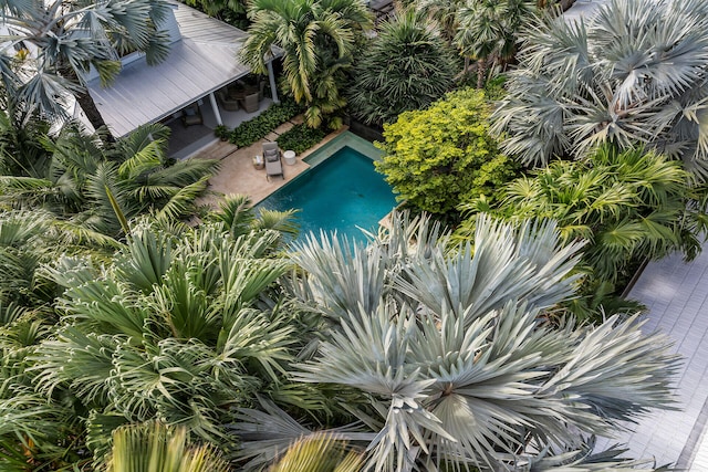 1109 Fleming St, Key West, FL 33040 - view of outdoor pool