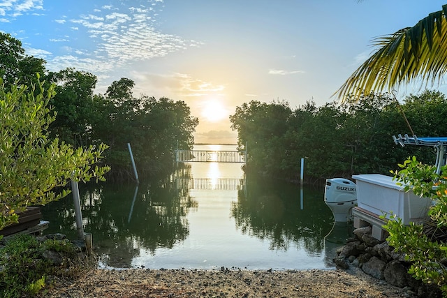 property view of water with a dock