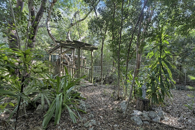 view of nature